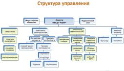 Структура управления МБУ ДО "РСШОР"